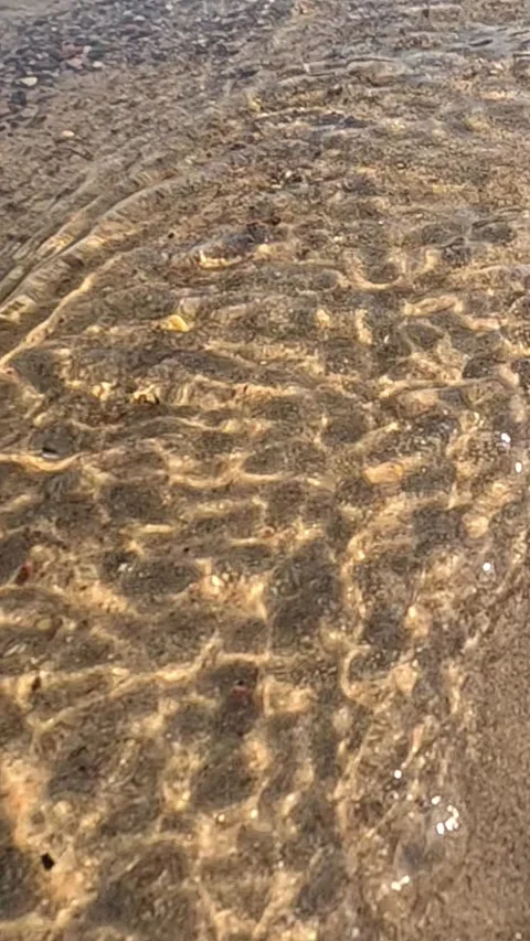 Ocean waves washing sandy beach shore with foam and bubbles Stock Footage 317165244