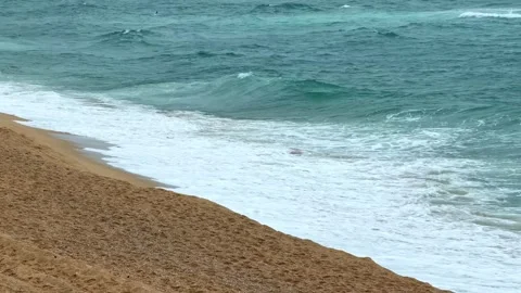 Ocean waves washing onto a sandy beach. Copy space Video stock 330923212