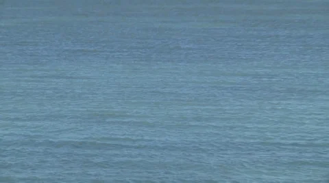 Ocean zoomout to beach trees Stock Footage 30888381