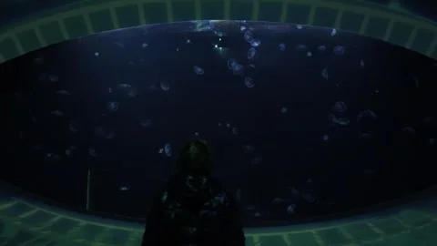 In an oceanarium, a man stands in front of a large, illuminated window showcasin Stock Footage 291847183