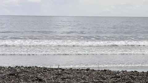 Oceanfront 00 - Audio - Birds - Pacific - Costa Rica Video stock 282937983