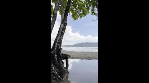 Oceanfront 03- Vertical - Audio  - Pacific - Costa Rica Stock Footage 282937984