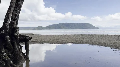 Oceanfront 04- Audio - Mirror Pond - Pacific - Costa Rica Video stock 282937988