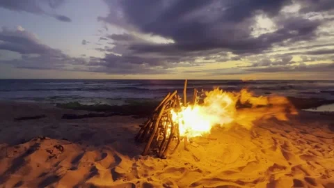 Oceanfront driftwood fire blazing across sandy beach in strong evening wind Stock Footage 345419348
