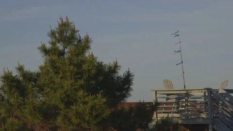Oceanfront Property with Flags Showing Wind Direction Video stock 74374239