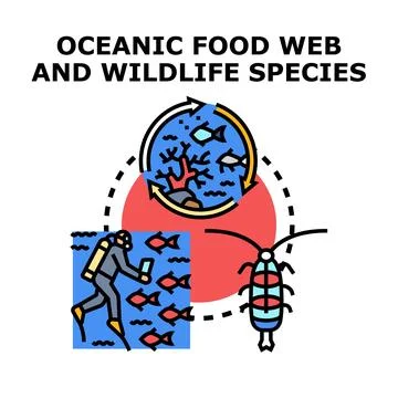 Oceanic food web ecosystem and wildlife species study Stock Illustration