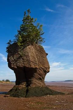 An oceanic formation found along the Bay of fundy coast at Hopewell Rocks, Ne Stock Photos