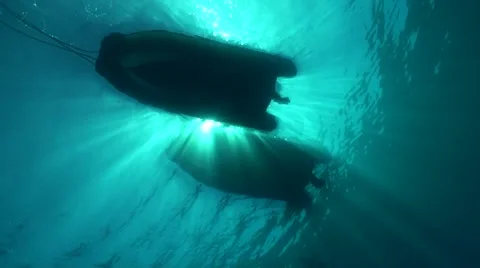 Oceanic passing next to zodiac Stock Footage 59753163