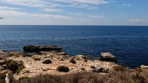 Oceanic Serenity of the Atlantic Stock Footage 323005774