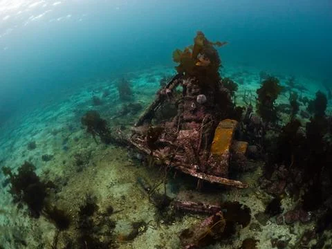 Oceanic waste, engine Fotos Stock