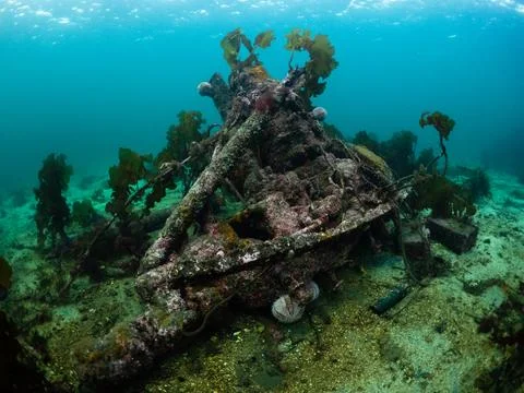 Oceanic waste, engine Fotos Stock