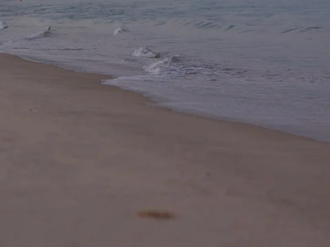 Oceanic waves in the morning Stock Footage 81106506