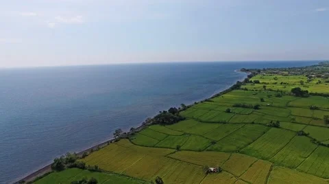 Oceans and green fields. Top view. Stock Footage 53766828
