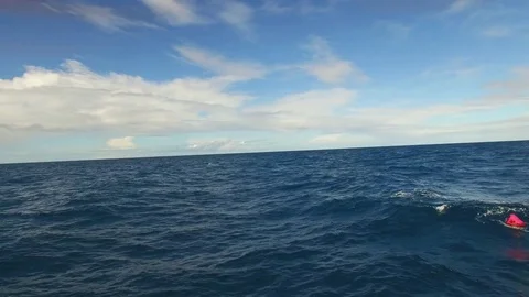Ocean's horizon shot Stock Footage 79679696
