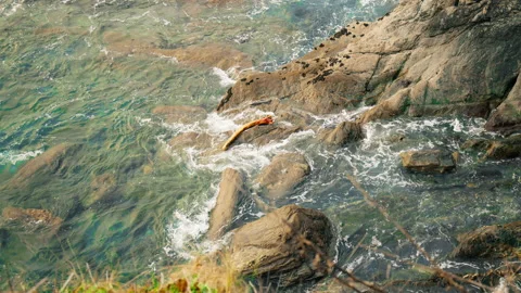Oceans transparently blue waves hitting seashore rocks in 4K. Stock Footage 155259263