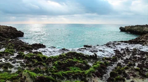 Ocean's waves breaking on the reef shore Stock Footage 49071692