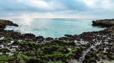 Ocean's waves breaking on the reef shore Stock Footage 49326485