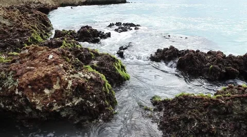 Ocean's waves breaking on the reef shore Stock Footage 52162499