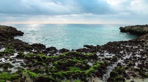 Ocean's waves on the reef shore Stock Footage 48956293