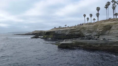 Oceanside Cliffs Video stock 76276073