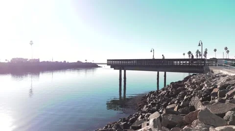 Oceanside dock In Oceanside Ca, Sea lions sun bath Stock Footage 65196843