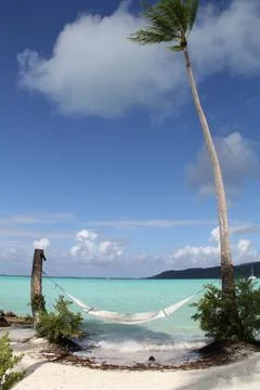 Oceanside Hammock Stock-Fotos