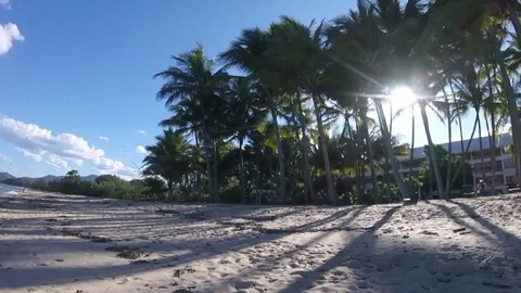 Oceanside view, sun hiding among the palm trees filmed in queensland, aust Video stock 69872196