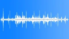 Ocellated Turkey MCU DrummingGobbling Sound Effect