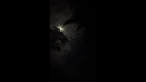Ocenview 03 - Shore 9pm no filters - Moonlight Stock Footage 283148082