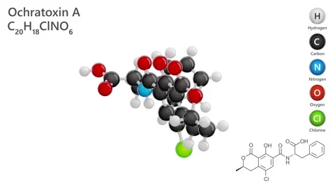 Ochratoxin A. Antibiotic 9663. 3D model. White background. 3D render Stock Footage 296225645