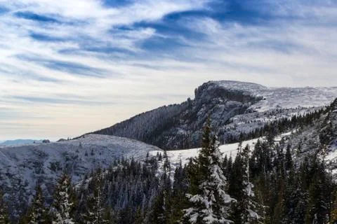 Ocolasul mare Foto stock