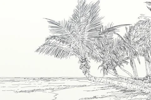 Oconut palm trees on the beach. Hand drawn illustration. Stock Illustration