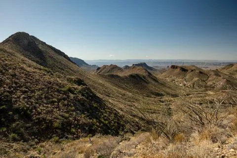 Ocotillo Look Out Over The Ridges Along Dodson Trail In Big Bend Stock Photos