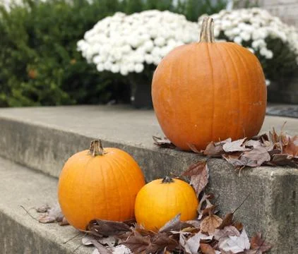 October Foto stock