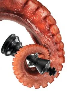 Octopus attacking King. Stock Photos