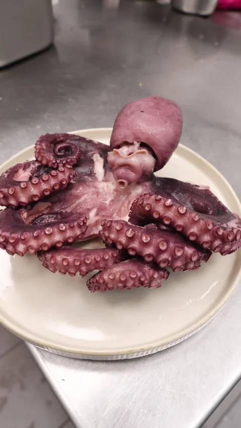 Octopus boiled on plate Stock Footage 295119979