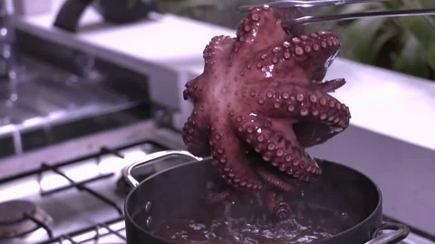 Octopus Boiling in a pot Vídeo Stock 248791259