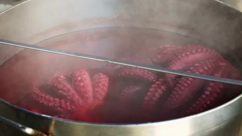 Octopus boiling in a pot Stock-Footage 277134210