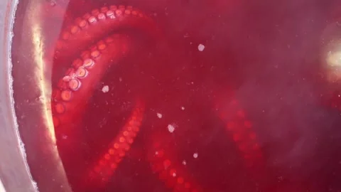 Octopus boiling in a pot Stock Footage 277134213