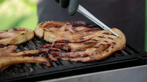 Octopus cooked on the grill Stock Footage 167701225