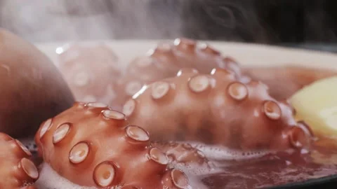 Octopus cooking, chef Boiling fresh octopus on restaurant kitchen, healthy food Stock Footage 286146133