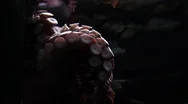 Octopus In The Darkness Stock Footage