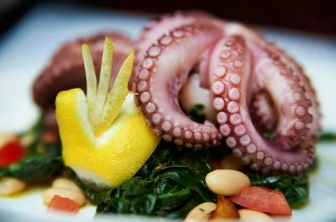 Octopus dish Stock Photos