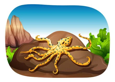 Octopus Stock-Illustration