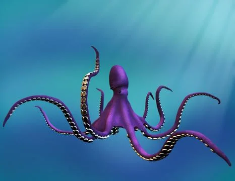Octopus Stock Illustration