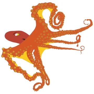 Octopus isolated Stock Illustration