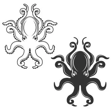 Octopus isolated on white background. Vector illustration. Stock Illustration