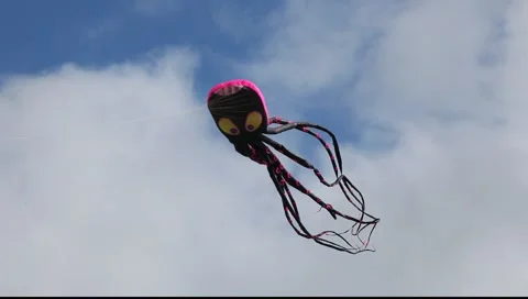 Octopus kite Stock-Footage 3865482