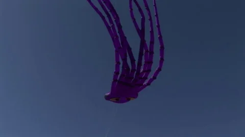 Octopus kite Vídeos de archivo 72571573