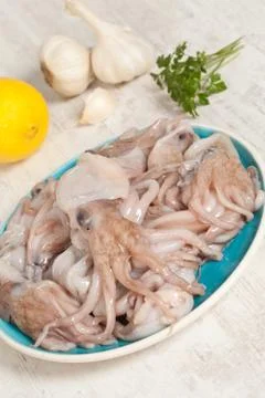 Octopus Stock Photos